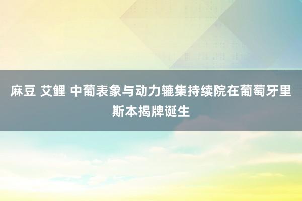 麻豆 艾鲤 中葡表象与动力辘集持续院在葡萄牙里斯本揭牌诞生