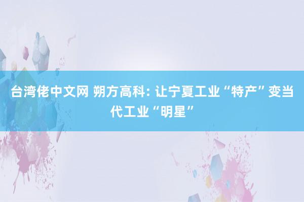台湾佬中文网 朔方高科: 让宁夏工业“特产”变当代工业“明星”