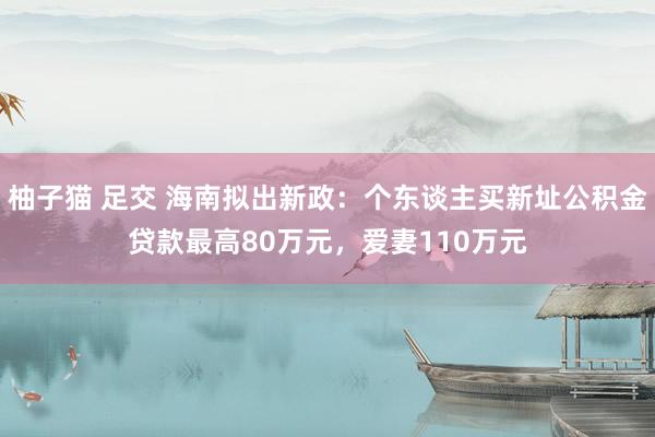 柚子猫 足交 海南拟出新政：个东谈主买新址公积金贷款最高80万元，爱妻110万元