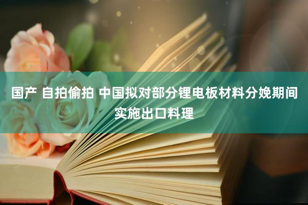 国产 自拍偷拍 中国拟对部分锂电板材料分娩期间实施出口料理